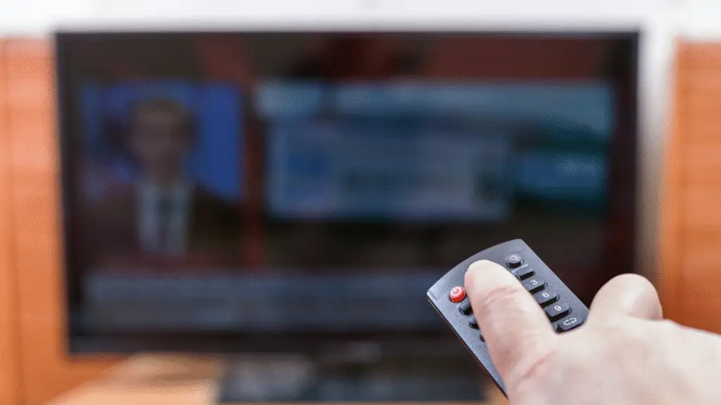 ベトナムのテレビ番組の視聴について